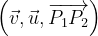 \dpi{120} \left ( \vec{v} ,\vec{u},\overrightarrow{P_{1}P_{2}}\right )